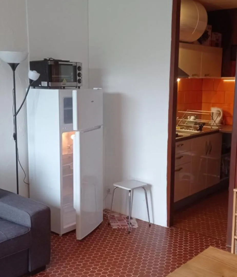 Appartement St Lary Soulan Pied Des Pistes Saint-Lary-Soulan 0*,  France